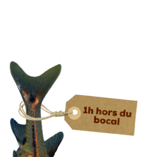 poisson