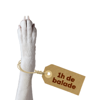 1 heure de Balade